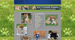 Desktop Screenshot of kyscreeksidepuppies.com